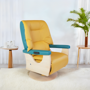 Fauteuil Clarence pivotant RPI électrique